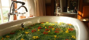 Tappas Voyages DMC-Destination Management Company-Fine Dining-Incentive Travel-Team Building-India-Agra-Jaipur-Delhi