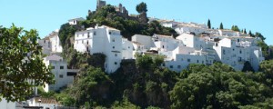Casares - website