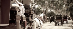 Feria web