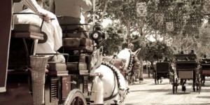 Feria web