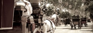 Feria web