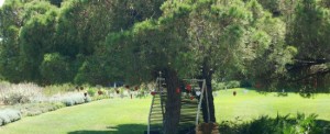 Albufeira-Buzz DMC-Conference-Destination Management Company-Fine Dining-Food-Golf-Hotel-Incentive Travel-Portugal-Beach