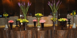 Tappas Voyages DMC-Destination Management Company-Fine Dining-Incentive Travel-Team Building-India-Delhi