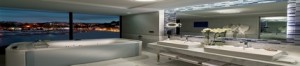 rsz_bathroom_with_a_view1