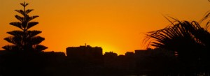 web pic 2