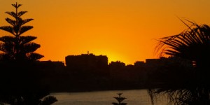web pic 2